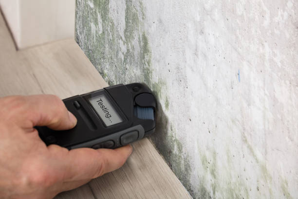 Moisture meter reading taken on a damaged wall in Pomona
